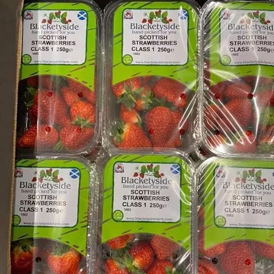 Strawberries (Local Scottish)