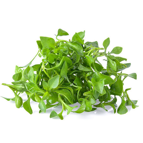 Watercress