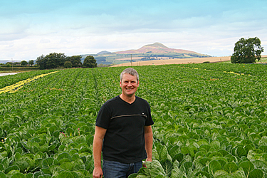 Gordon Henderson, Market Gardener, Markinch.